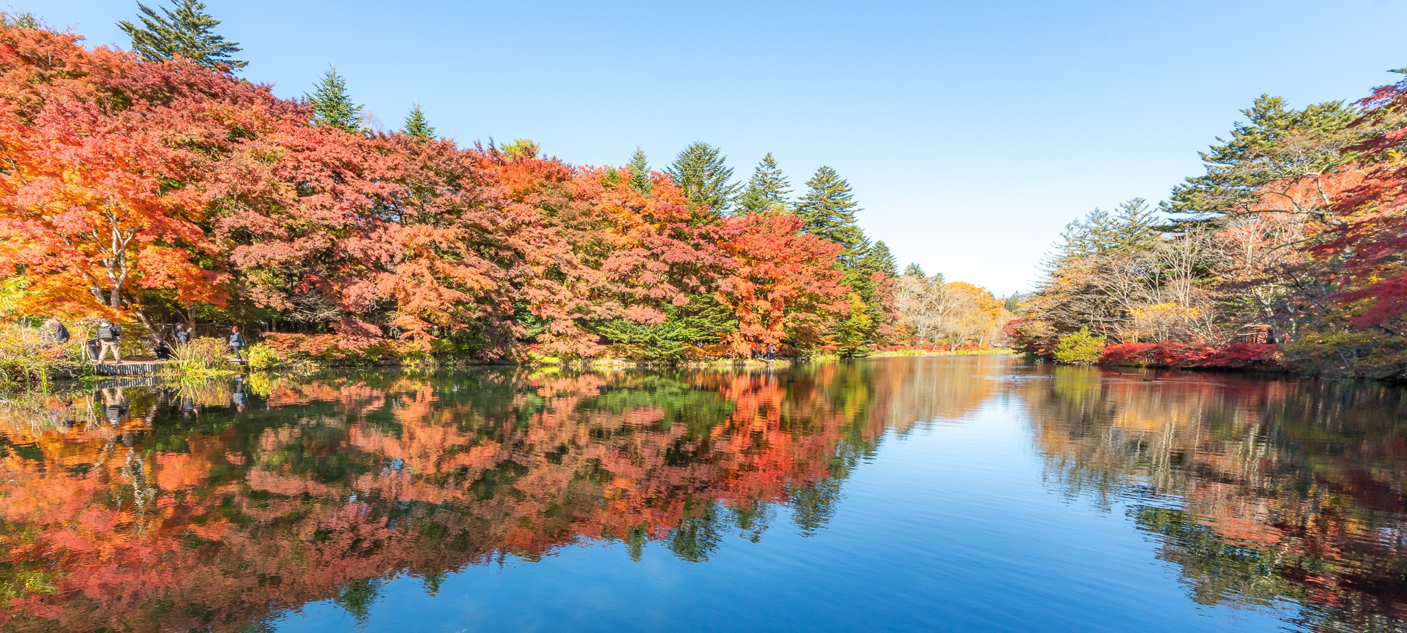 雲場池の画像