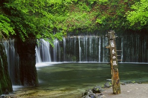白糸の滝の画像