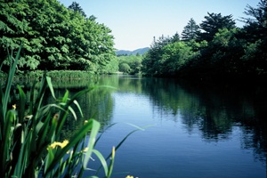 雲場池の画像