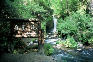 竜返しの滝 の画像