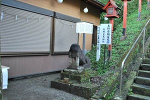 峠のこまいぬの画像