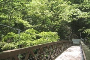 旧碓氷峠遊覧歩道コースの画像