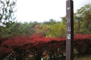 万山望の画像