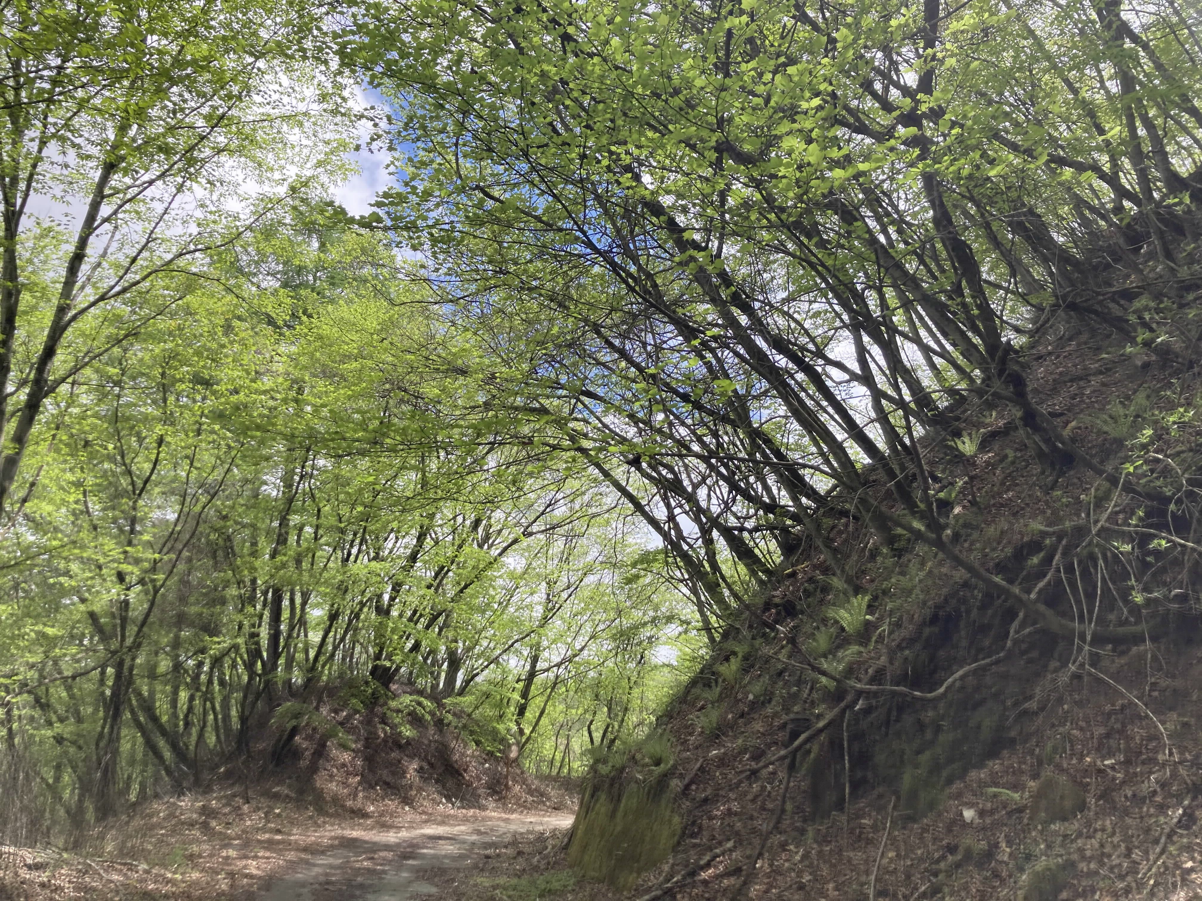 八風山の画像
