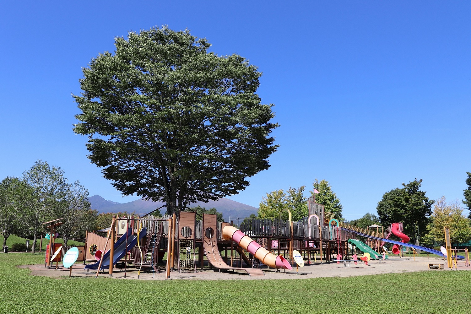湯川ふるさと公園の画像