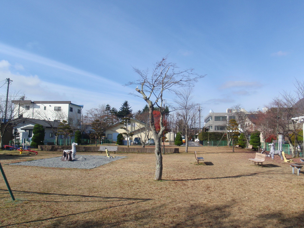 雲場公園の写真2