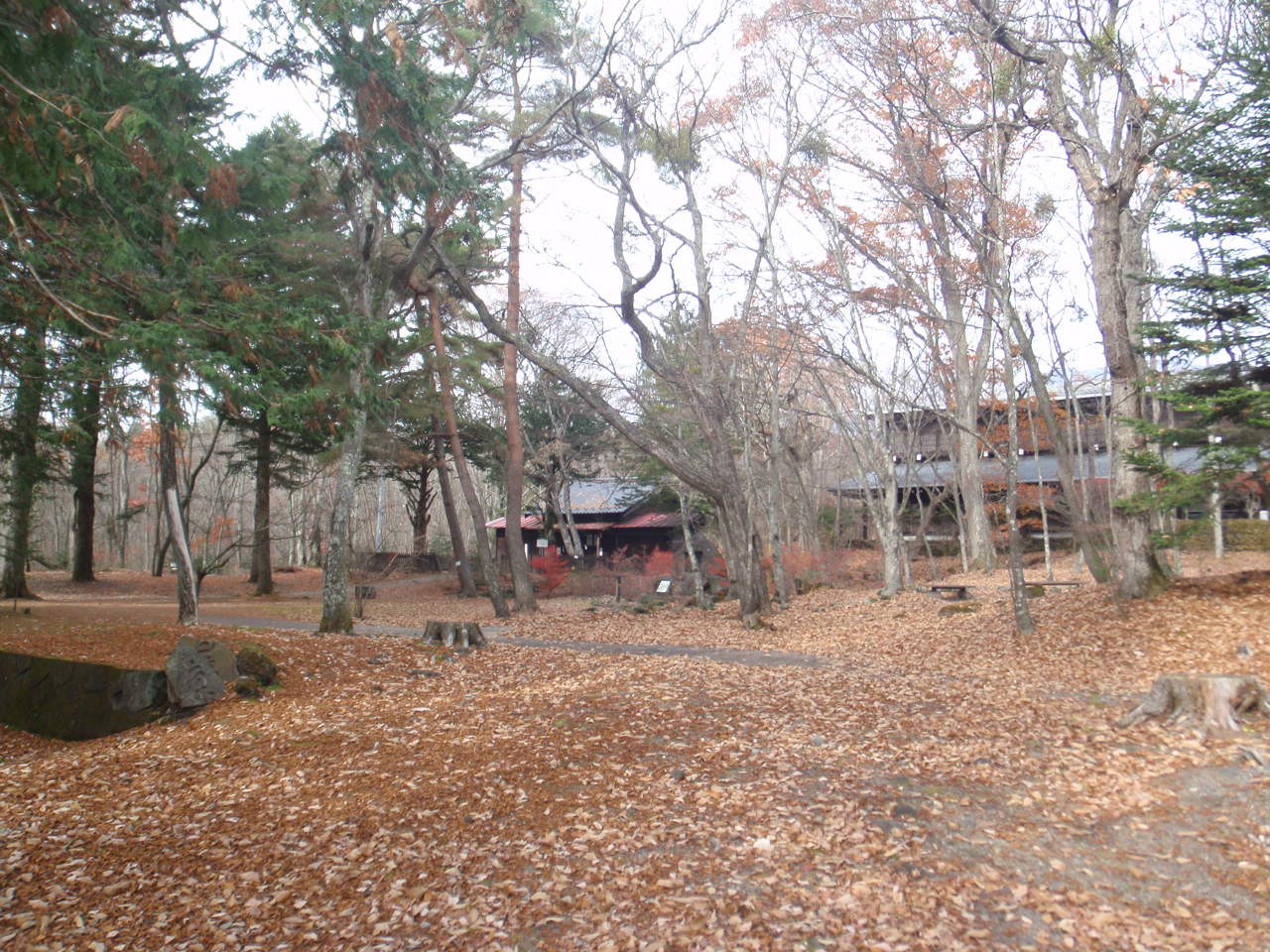 追分公園の写真