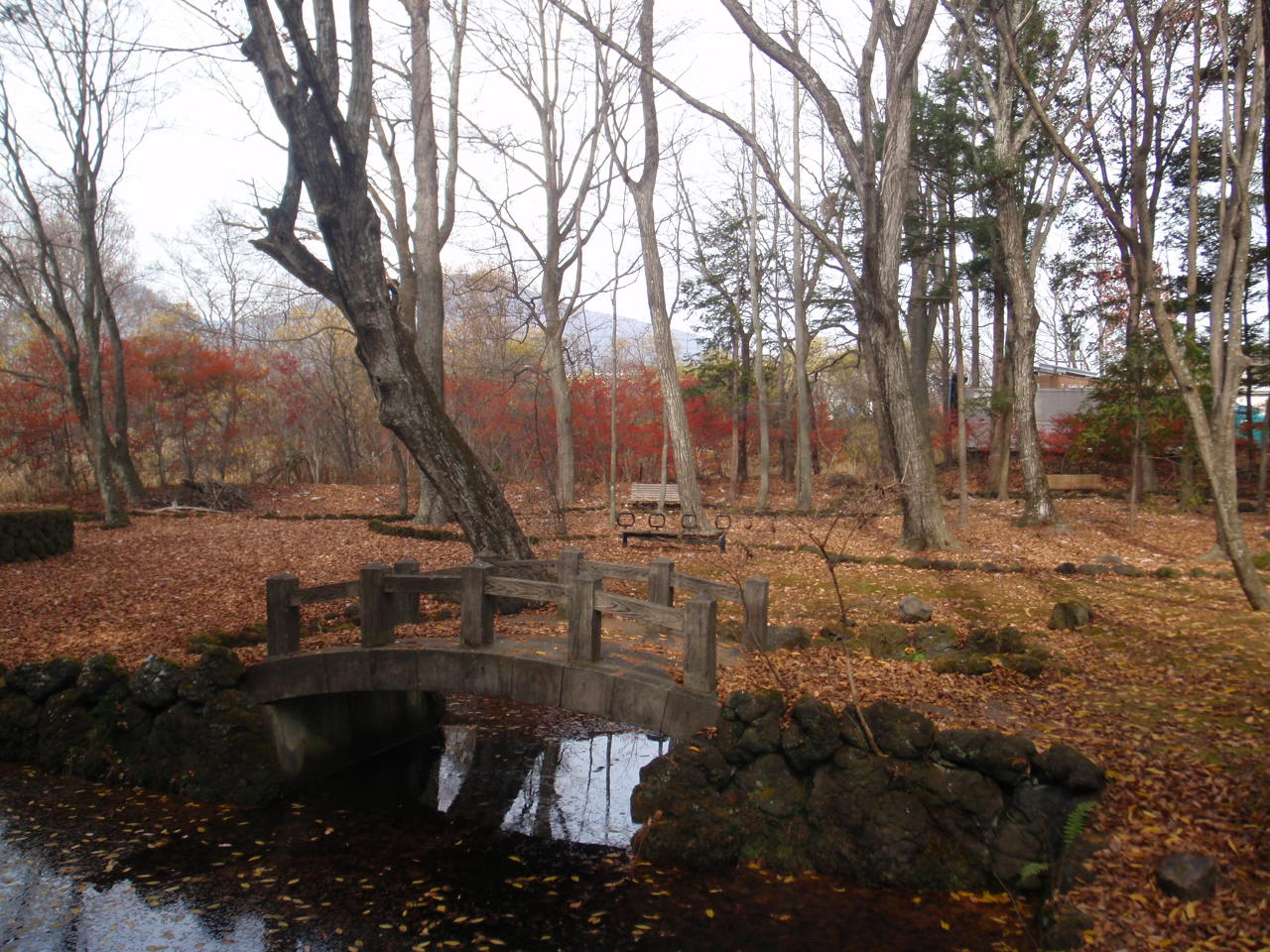 借宿公園の写真