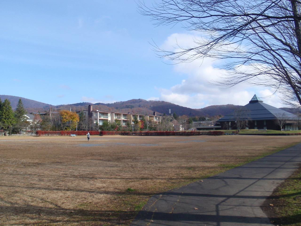 矢ヶ崎公園の写真1