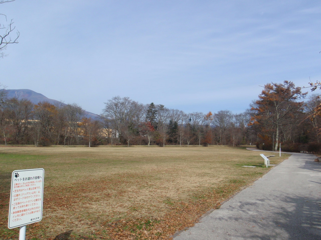 湯川ふるさと公園（下流地区）の写真