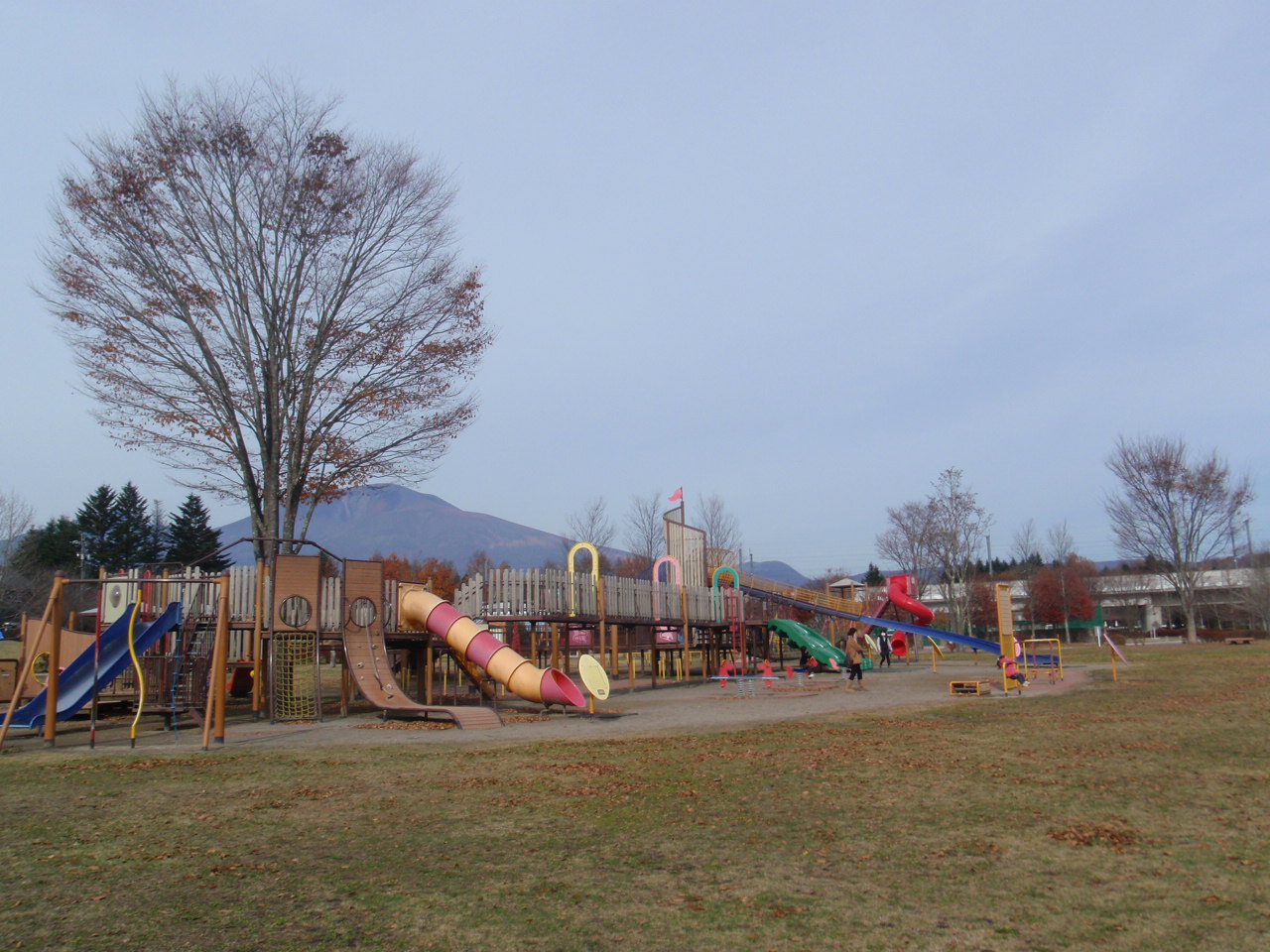 湯川ふるさと公園（センター地区）の写真1