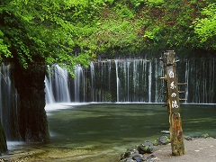 白糸の滝　緑1の画像