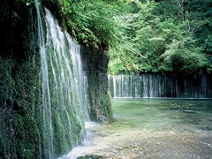 白糸の滝　緑2の画像