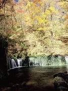 白糸の滝　秋の画像