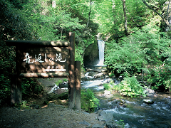 竜返しの滝　緑の画像