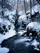 冬の竜返しの滝の画像