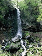 千ケ滝　緑の画像