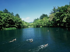 雲場池　緑2の画像