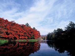 紅葉の雲場池（1）の画像