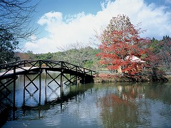 塩沢湖の紅葉の画像