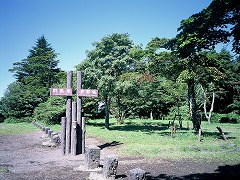 緑の見晴台の画像