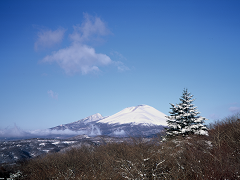 冬の見晴台の画像