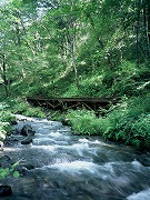 信濃路自然歩道と清流の画像