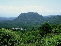 緑の離山の画像