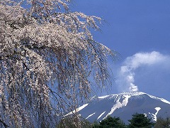 早春の浅間山の画像