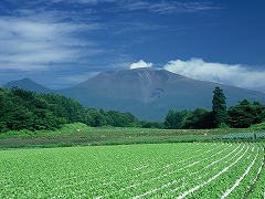 緑の浅間山の画像