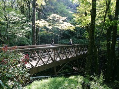 駅からハイキングの画像