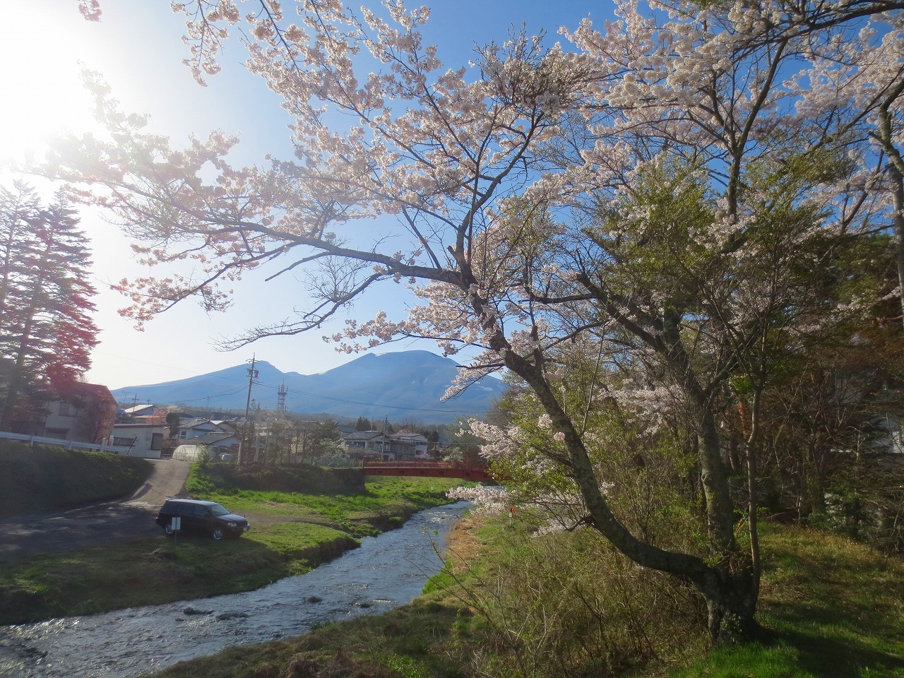 湯川橋からの画像4