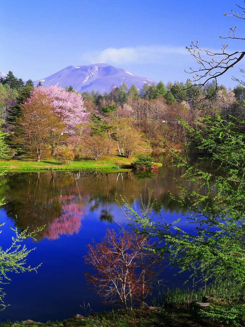 塩沢湖からの画像1
