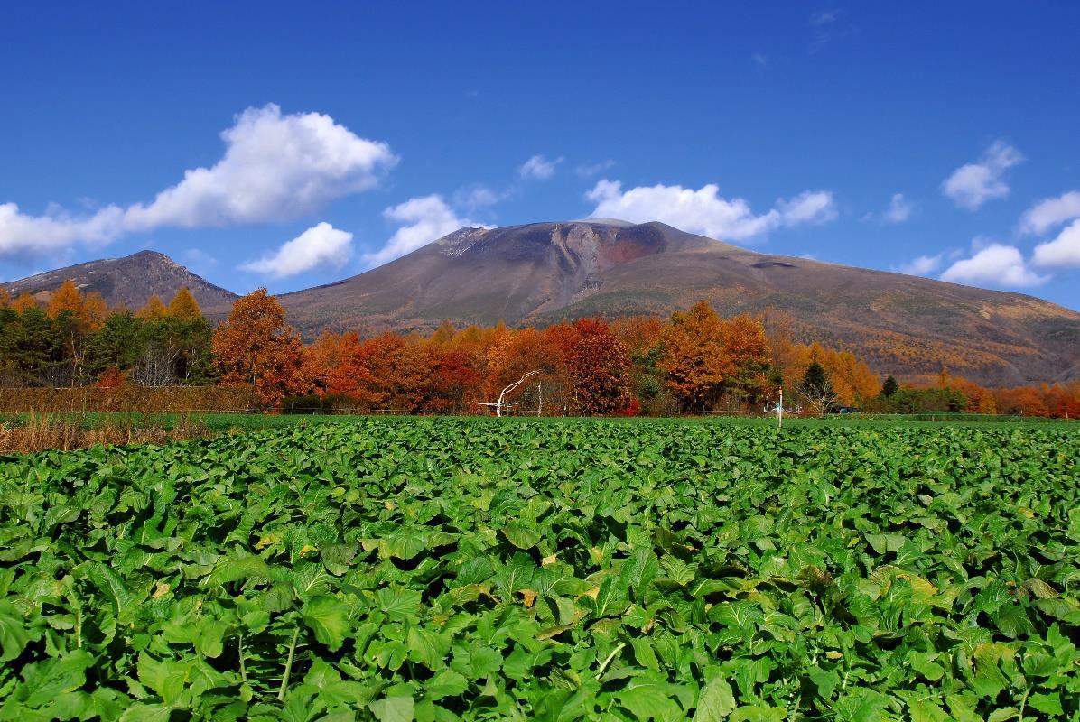 大日向からの画像1