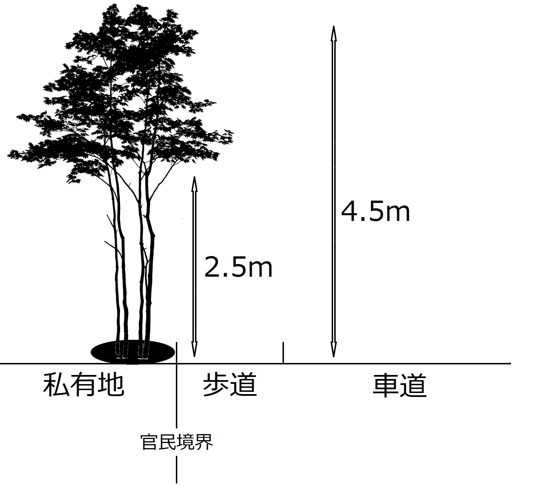 敷地内の樹木や生垣の管理をお願いしますの画像