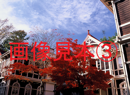 画像見本（3）の画像
