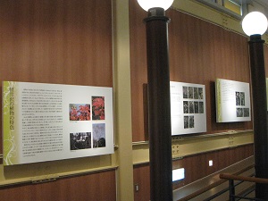 展示館　館内の写真