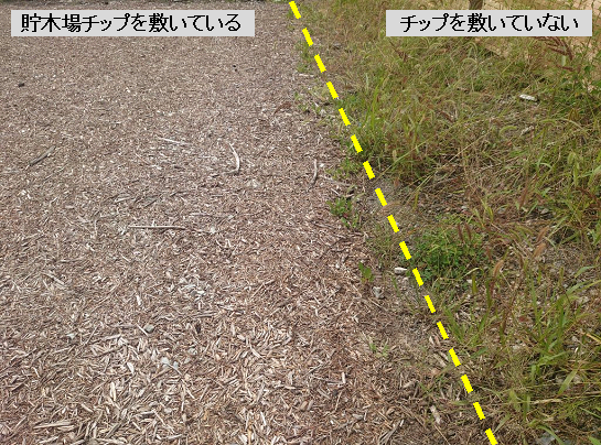 チップによる防草効果の画像