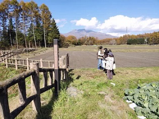 茂沢南石堂（もざわみなみいしどう）遺跡　現地見学会の画像