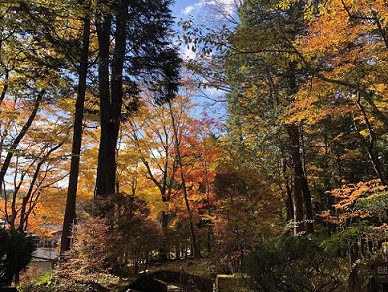 軽井沢町歴史民俗資料館周辺　紅葉（こうよう）の画像