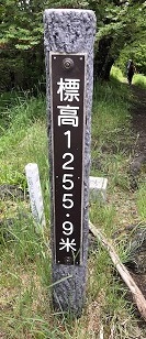 離山散策会　離山山頂の画像２