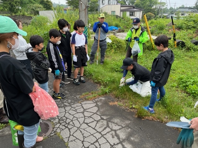 大日向区と協働でオオキンケイギクの駆除活動を行いました（令和5年度）の画像2