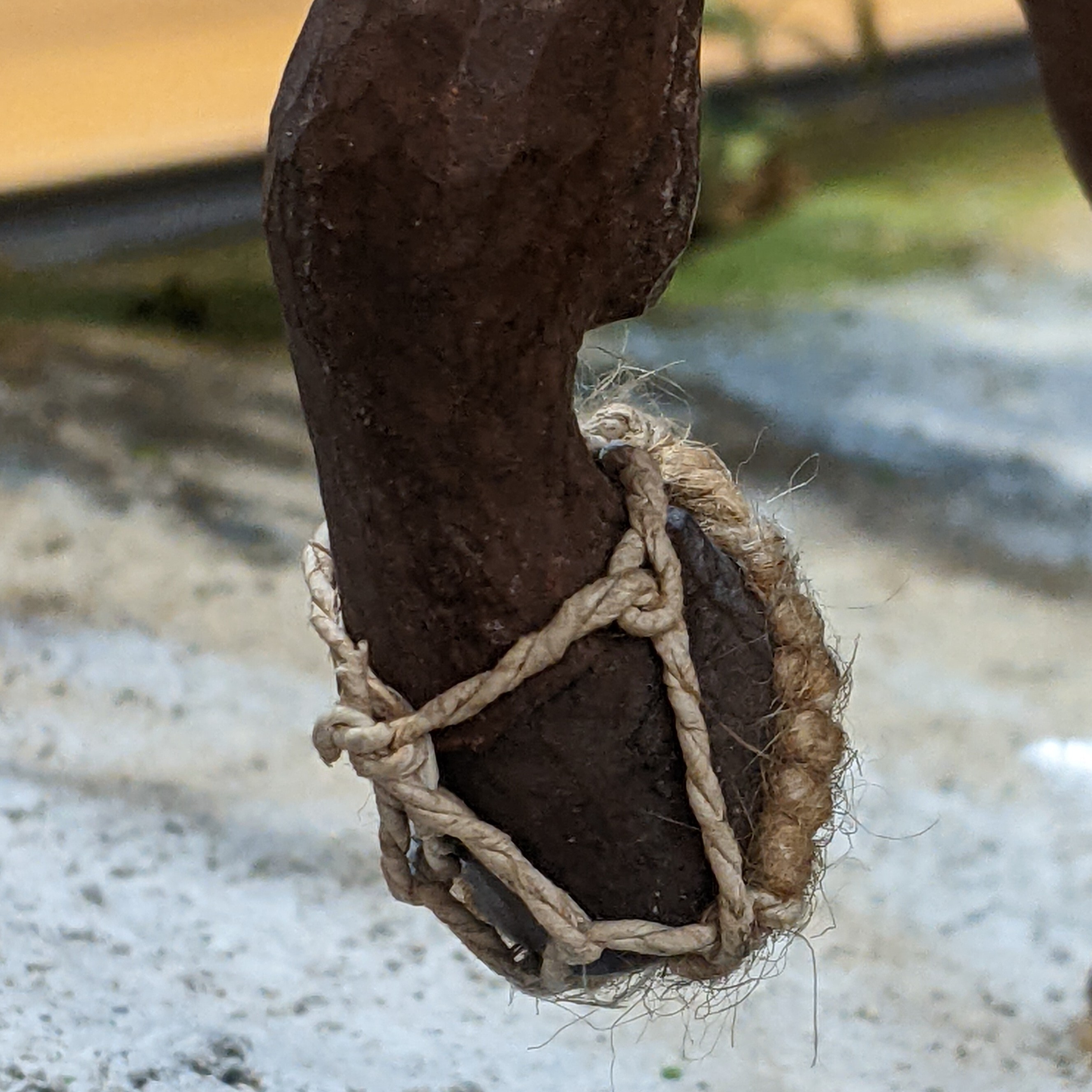 ジオラマの画像　馬草鞋（うまわらじ）の接写画像