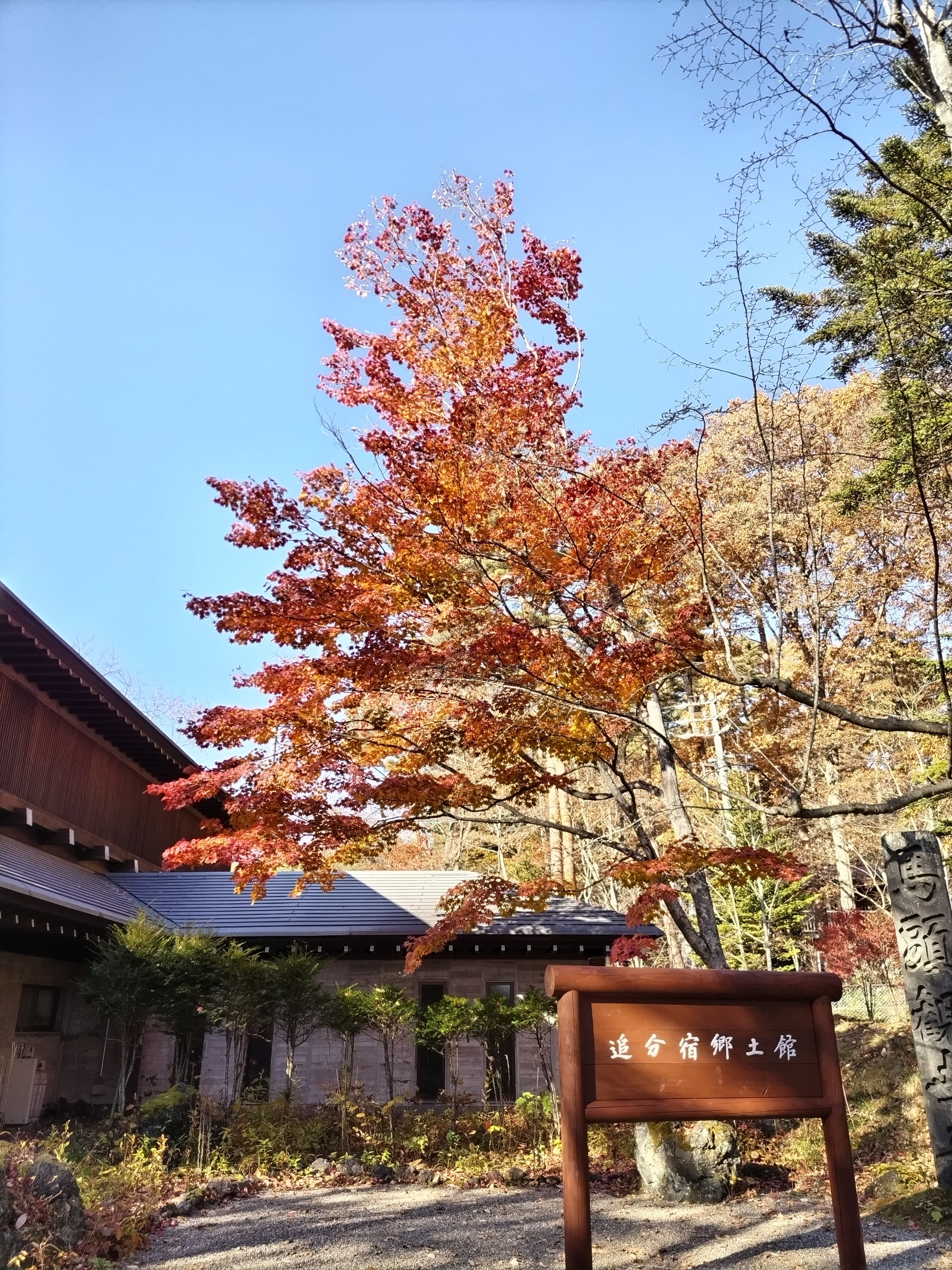郷土館だより　令和4年11月の画像
