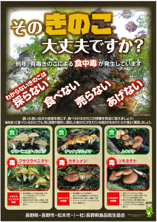 きのこ中毒防止啓発リーフレットの画像
