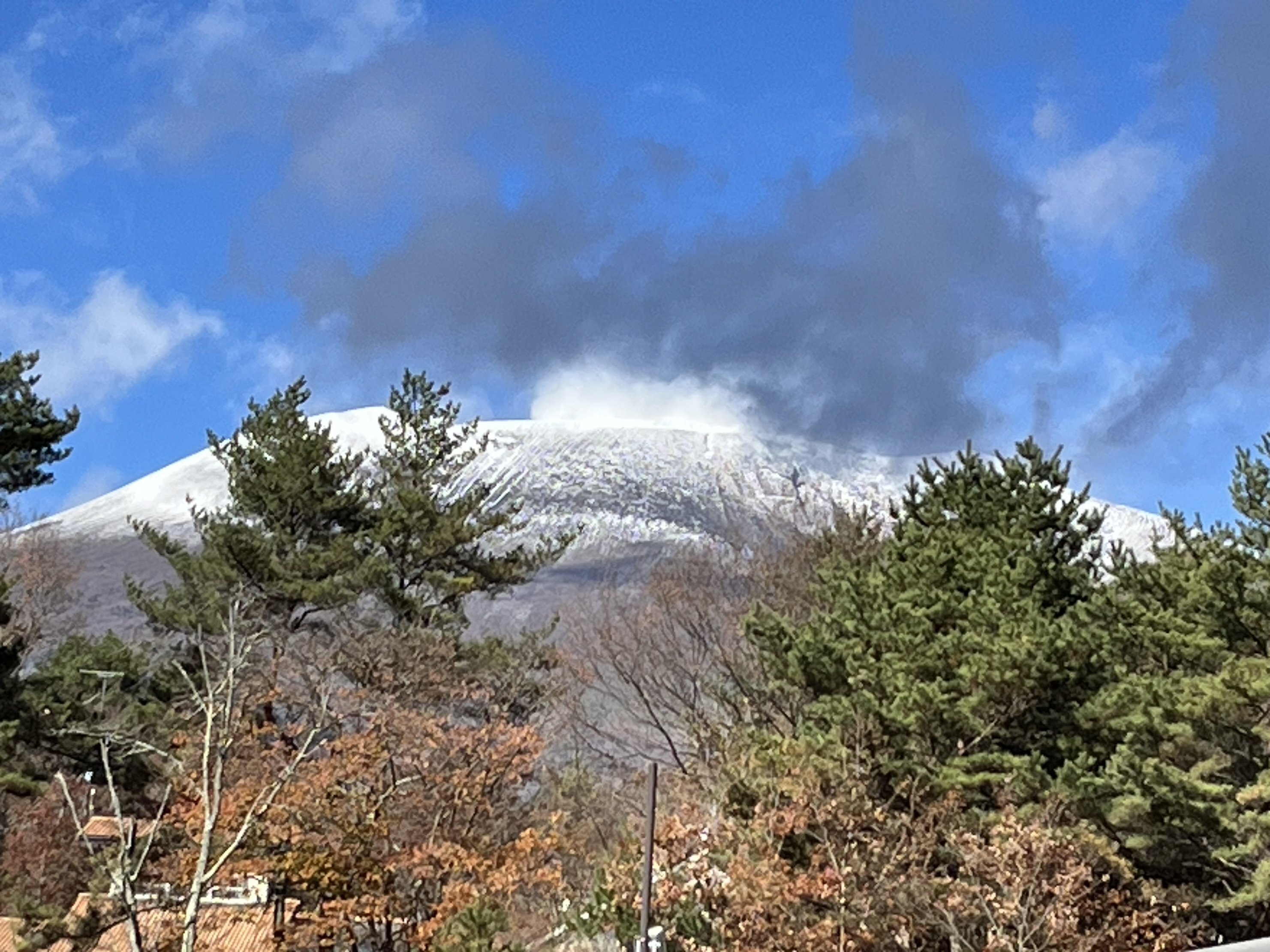 郷土館だより　令和5年　12月号の画像