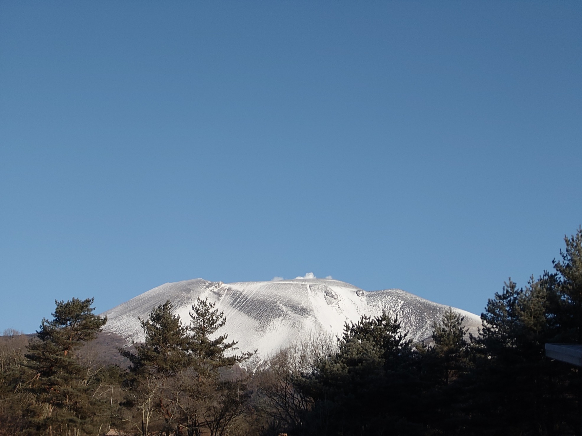 令和7年1月5日 朝 撮影の画像