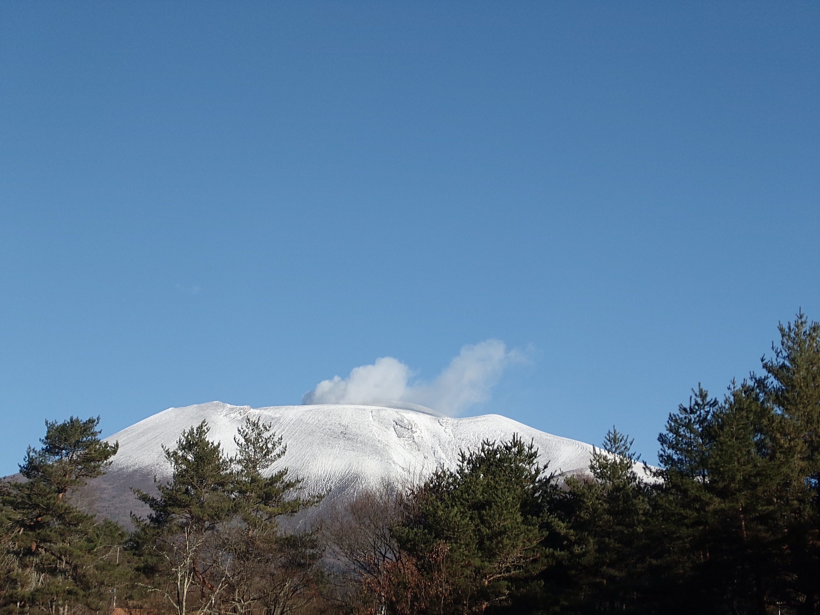 12月1日の朝、浅間山が真っ白になっていました。の画像