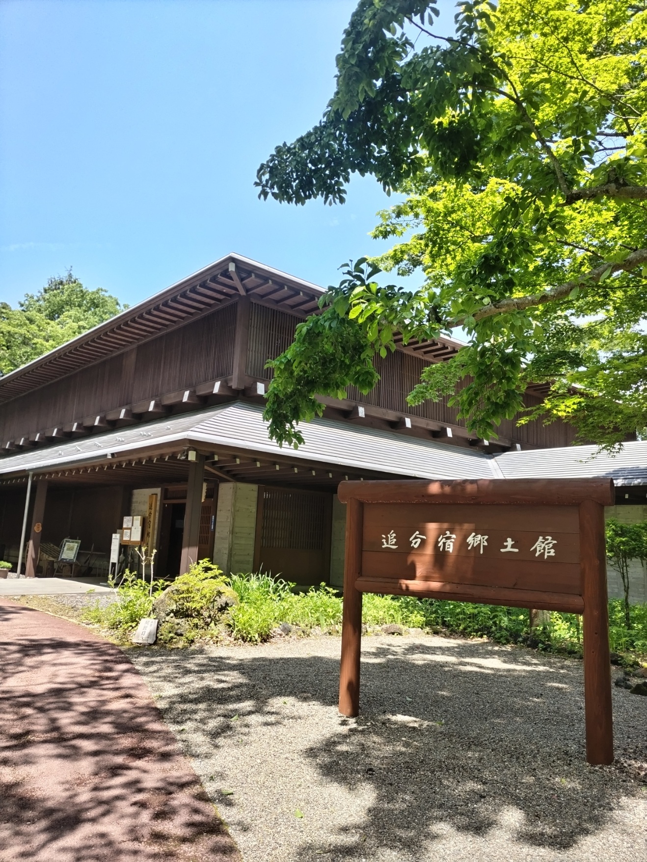 (6月1日撮影)の画像