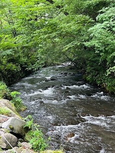 長倉神社～せきれい橋の画像2